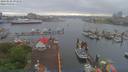 ./images/victoria/wharf/20190520/wharf20190520_093950.jpg