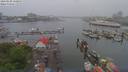 ./images/victoria/wharf/20190520/wharf20190520_150955.jpg