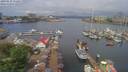 ./images/victoria/wharf/20190521/wharf20190521_112950.jpg