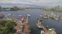 ./images/victoria/wharf/20190521/wharf20190521_121952.jpg