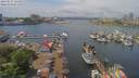 ./images/victoria/wharf/20190521/wharf20190521_124453.jpg