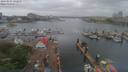 ./images/victoria/wharf/20190524/wharf20190524_131955.jpg