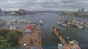 ./images/victoria/wharf/20190524/wharf20190524_144949.jpg