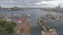 ./images/victoria/wharf/20190524/wharf20190524_145949.jpg