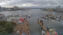 ./images/victoria/wharf/20190524/wharf20190524_155952.jpg