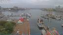 ./images/victoria/wharf/20190525/wharf20190525_055953.jpg