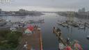 ./images/victoria/wharf/20190525/wharf20190525_095455.jpg