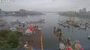 ./images/victoria/wharf/20190525/wharf20190525_101456.jpg