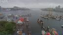 ./images/victoria/wharf/20190525/wharf20190525_110949.jpg