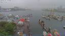 ./images/victoria/wharf/20190525/wharf20190525_111949.jpg
