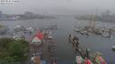 ./images/victoria/wharf/20190525/wharf20190525_112950.jpg