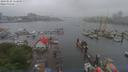./images/victoria/wharf/20190525/wharf20190525_113950.jpg