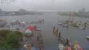 ./images/victoria/wharf/20190525/wharf20190525_124454.jpg