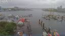 ./images/victoria/wharf/20190525/wharf20190525_131955.jpg