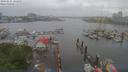 ./images/victoria/wharf/20190525/wharf20190525_132456.jpg
