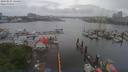 ./images/victoria/wharf/20190525/wharf20190525_134457.jpg