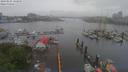 ./images/victoria/wharf/20190525/wharf20190525_142949.jpg