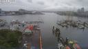 ./images/victoria/wharf/20190525/wharf20190525_145950.jpg