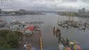 ./images/victoria/wharf/20190525/wharf20190525_152452.jpg