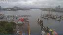 ./images/victoria/wharf/20190525/wharf20190525_152952.jpg