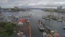 ./images/victoria/wharf/20190525/wharf20190525_172458.jpg