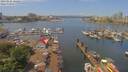 ./images/victoria/wharf/20190526/wharf20190526_122454.jpg