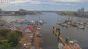 ./images/victoria/wharf/20190526/wharf20190526_134958.jpg