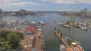./images/victoria/wharf/20190526/wharf20190526_140459.jpg