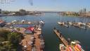 ./images/victoria/wharf/20190531/wharf20190531_132458.jpg