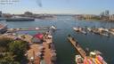 ./images/victoria/wharf/20190531/wharf20190531_140950.jpg