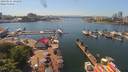 ./images/victoria/wharf/20190531/wharf20190531_141950.jpg