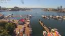 ./images/victoria/wharf/20190531/wharf20190531_142450.jpg