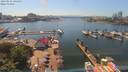 ./images/victoria/wharf/20190531/wharf20190531_145952.jpg