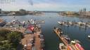 ./images/victoria/wharf/20190601/wharf20190601_131958.jpg