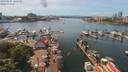./images/victoria/wharf/20190601/wharf20190601_135950.jpg