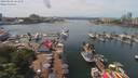 ./images/victoria/wharf/20190602/wharf20190602_134949.jpg