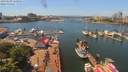 ./images/victoria/wharf/20190603/wharf20190603_133955.jpg