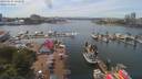 ./images/victoria/wharf/20190604/wharf20190604_142958.jpg