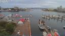 ./images/victoria/wharf/20190605/wharf20190605_082949.jpg