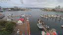 ./images/victoria/wharf/20190605/wharf20190605_085451.jpg