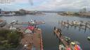 ./images/victoria/wharf/20190605/wharf20190605_131952.jpg