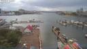 ./images/victoria/wharf/20190605/wharf20190605_164952.jpg