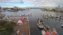 ./images/victoria/wharf/20190606/wharf20190606_081957.jpg