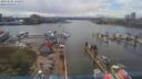 ./images/victoria/wharf/20190606/wharf20190606_154956.jpg