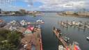 ./images/victoria/wharf/20190607/wharf20190607_121450.jpg