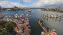 ./images/victoria/wharf/20190607/wharf20190607_132454.jpg