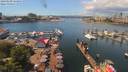 ./images/victoria/wharf/20190608/wharf20190608_124955.jpg