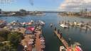 ./images/victoria/wharf/20190608/wharf20190608_131957.jpg