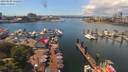 ./images/victoria/wharf/20190608/wharf20190608_132458.jpg