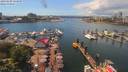 ./images/victoria/wharf/20190608/wharf20190608_134949.jpg